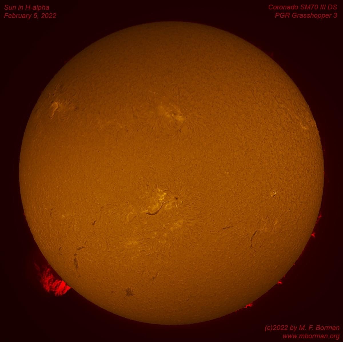 Solar disk in h-alpha 02/05/2022