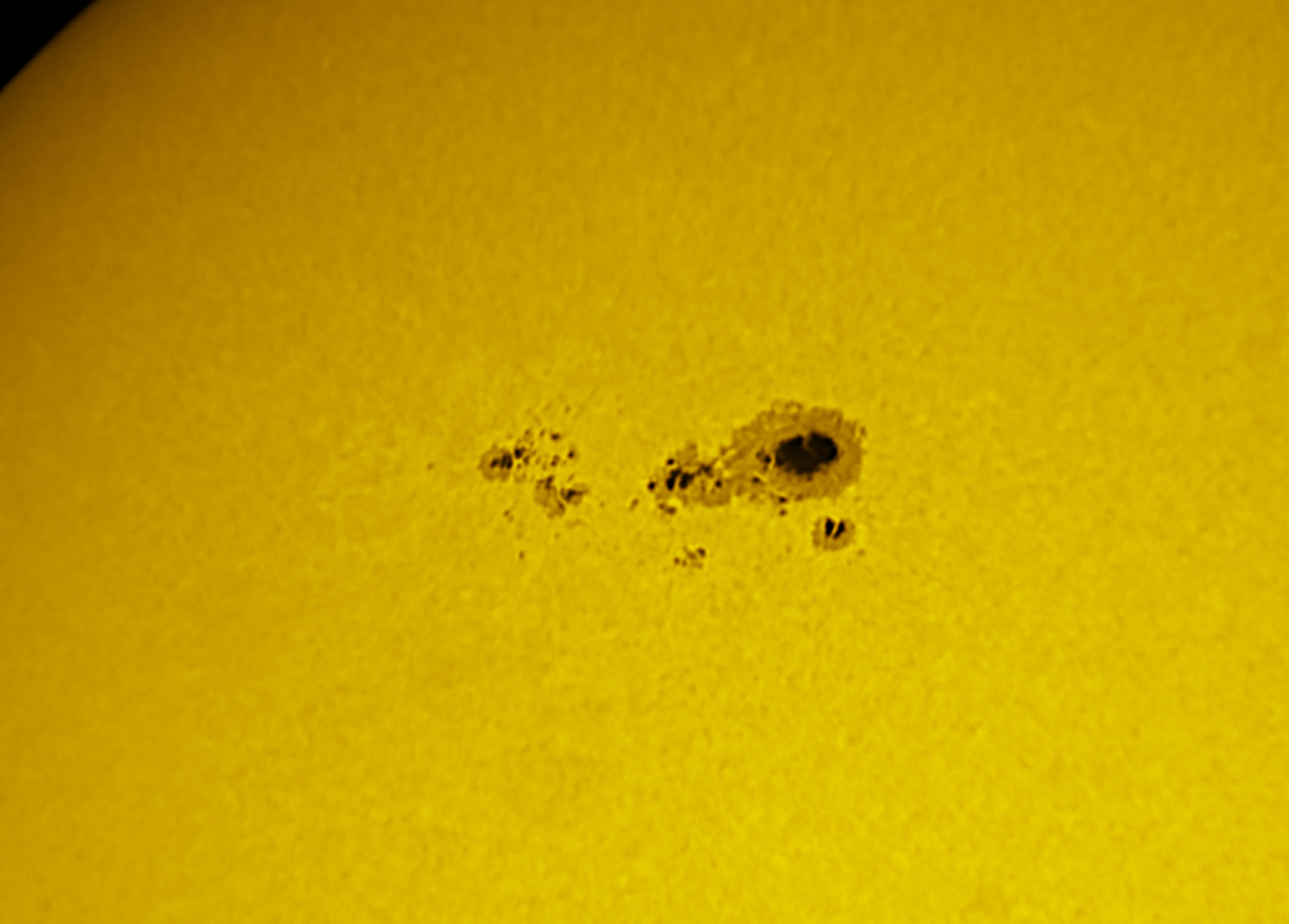Sunspot 3590 in white light 02/23/2324