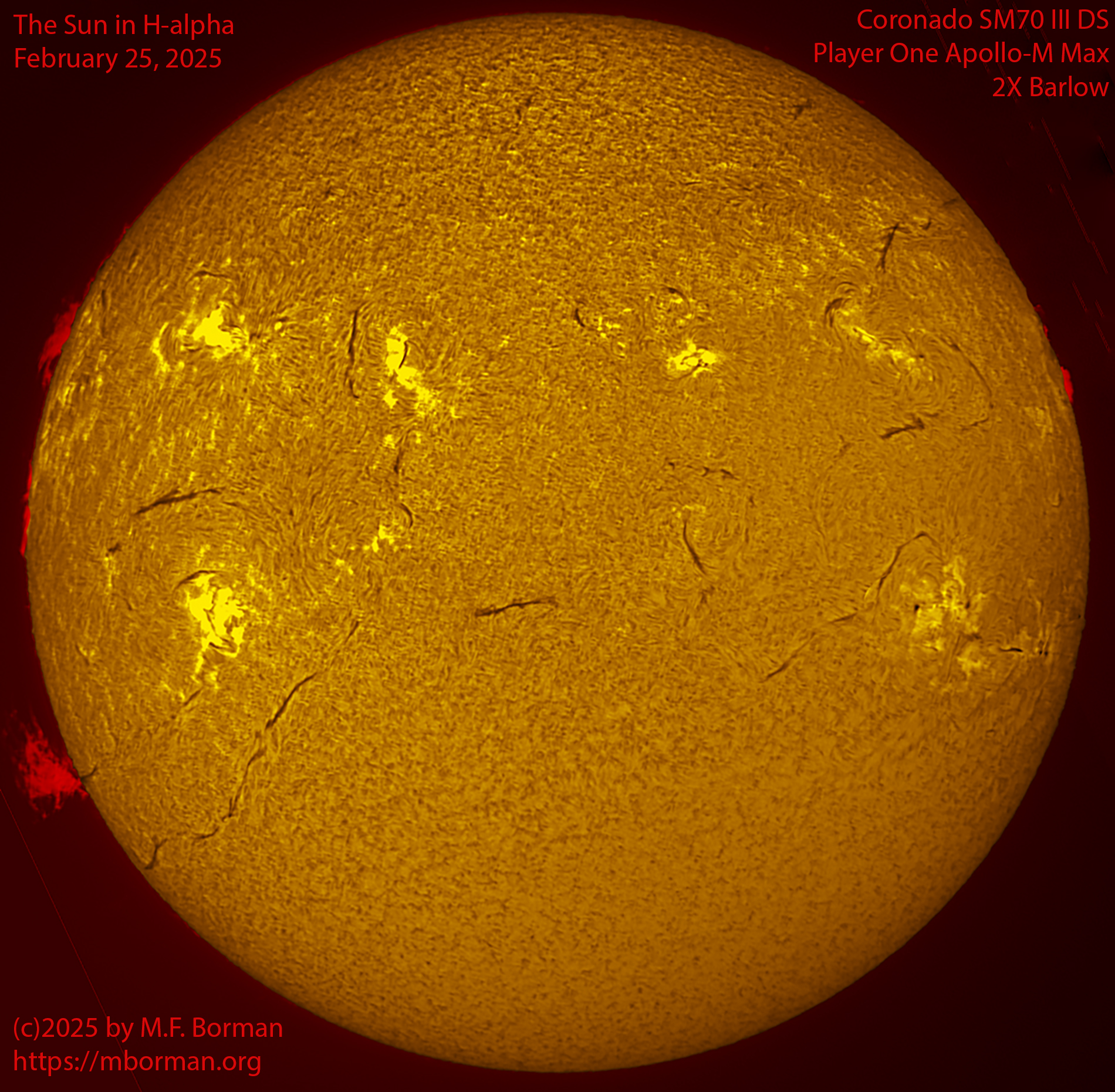 Solar image in h-alpha 02/25/25