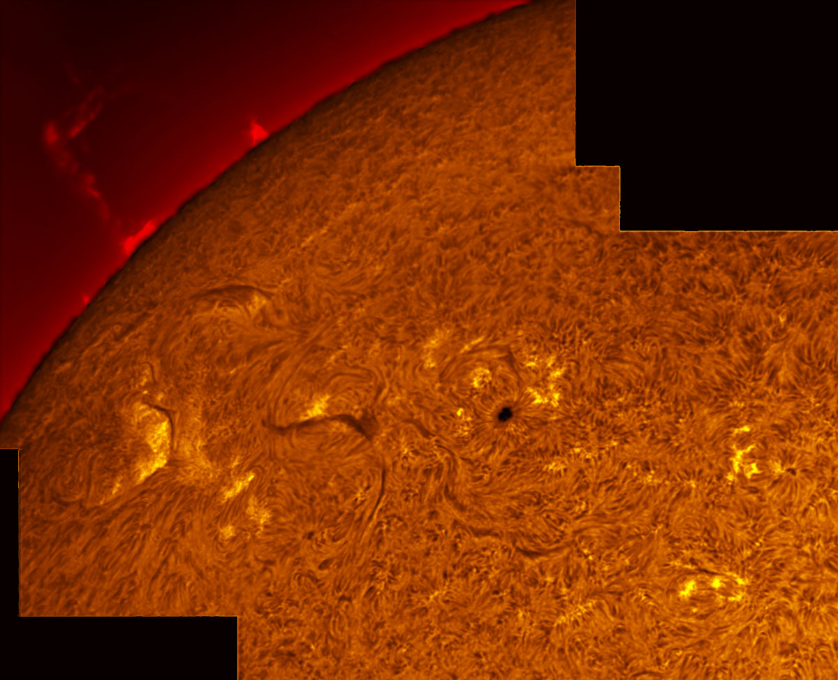 Sunspots 1423 & 1424 in h-alpha 02/26/2012