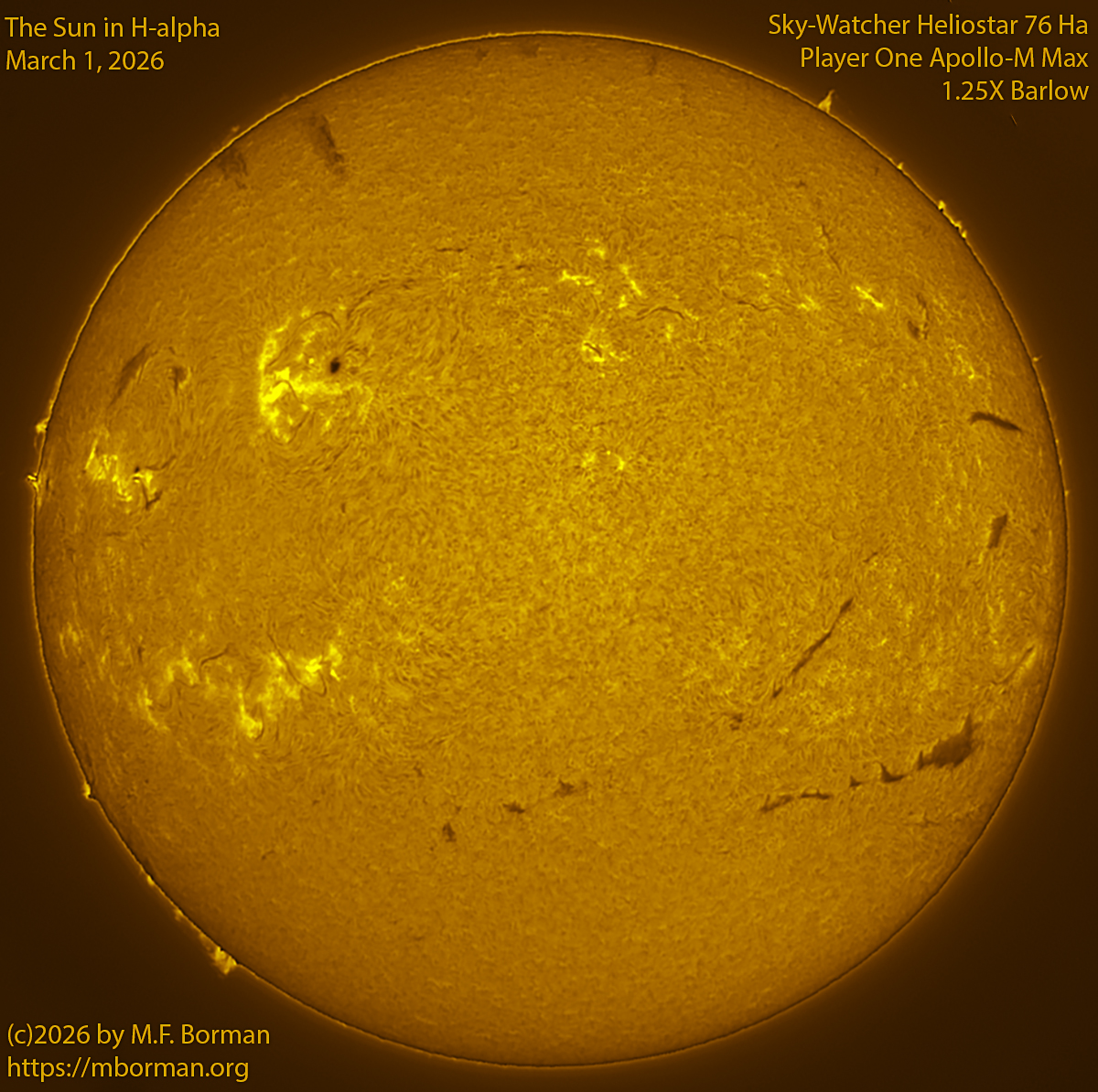Solar image in h-alpha 03/01/26