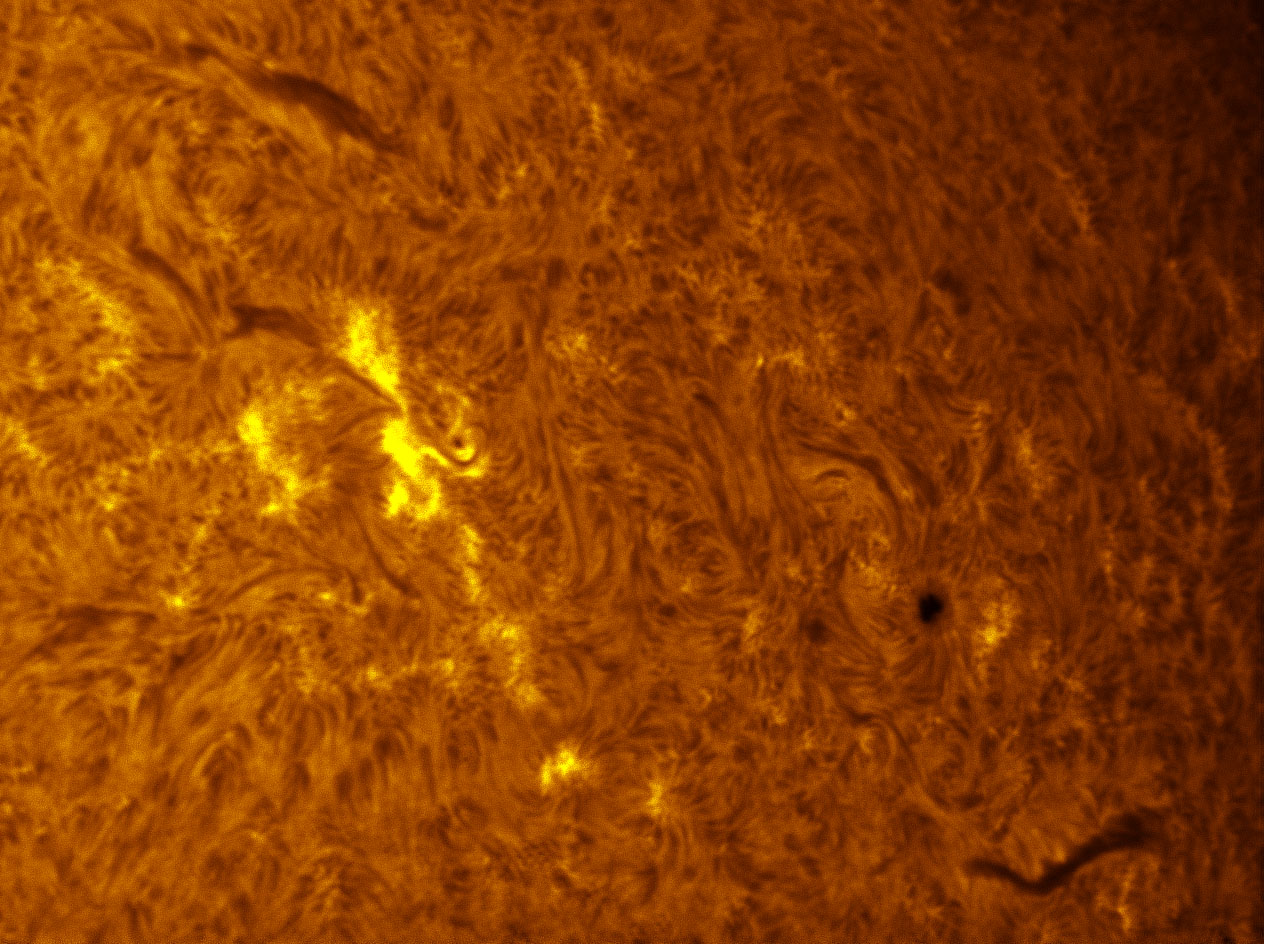 Sunspots 1423 & 1427 in h-alpha 03/03/2012