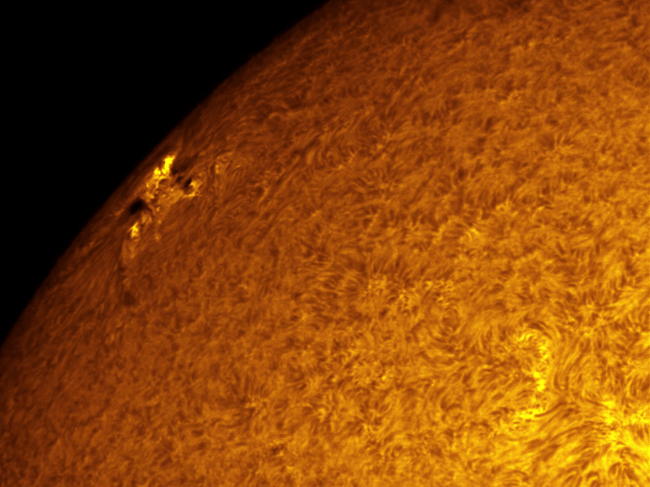 Sunspot 1429 in h-alpha 03/03/2012