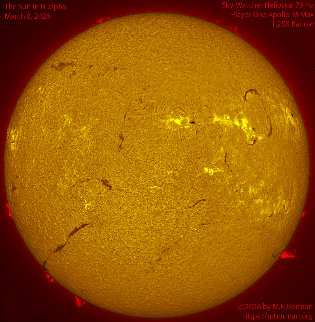 Solar image in h-alpha 03/08/26