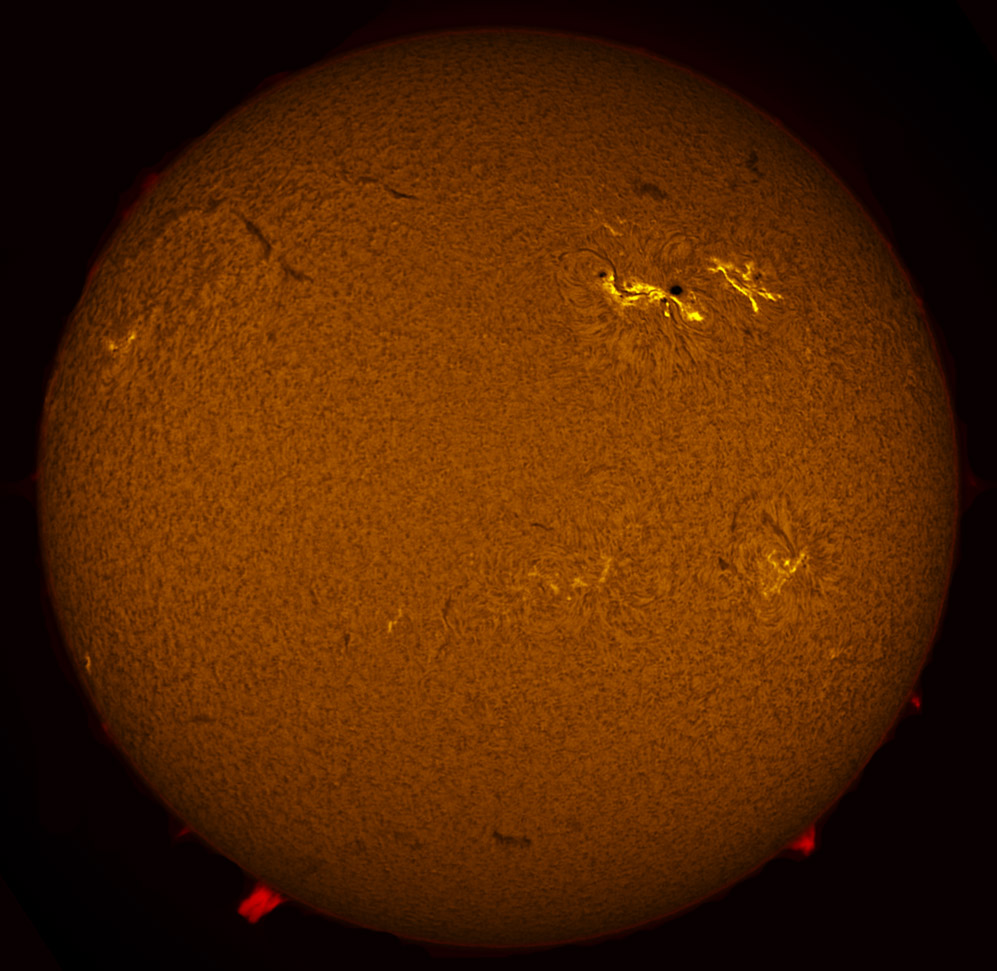 Solar Disk in h-alpha 03/10/2012
