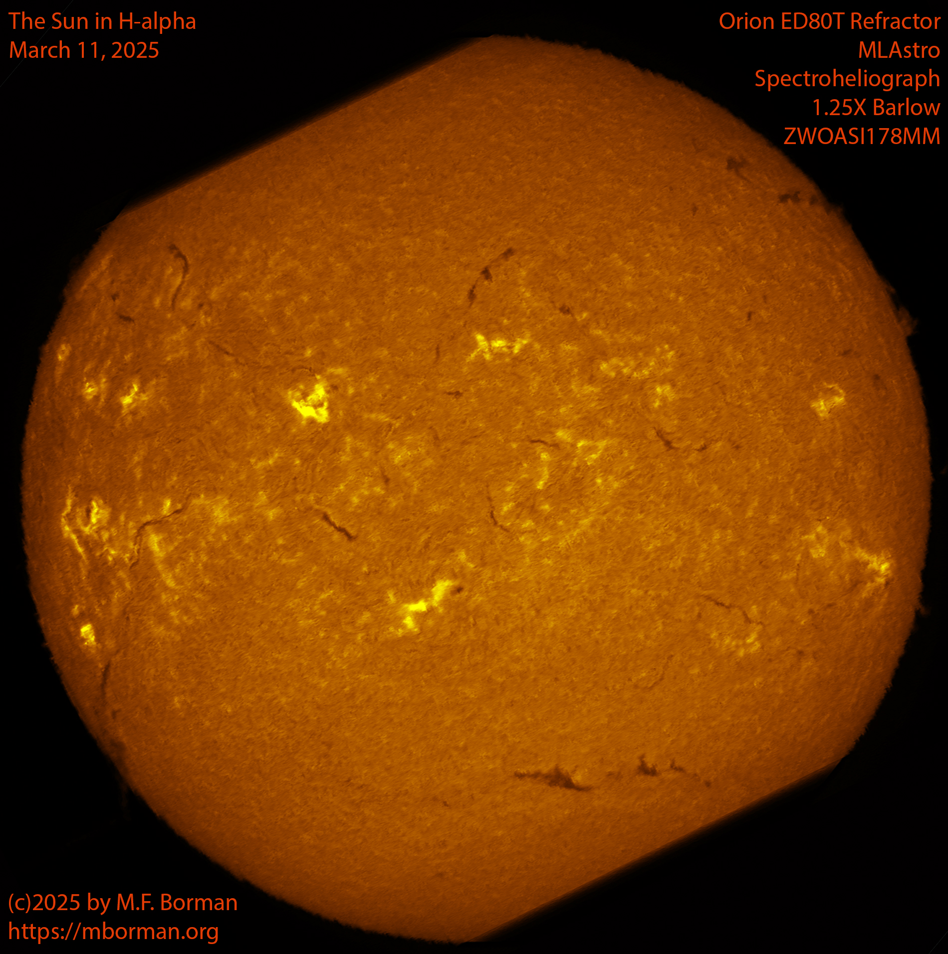 Solar image in h-alpha 03/11/25