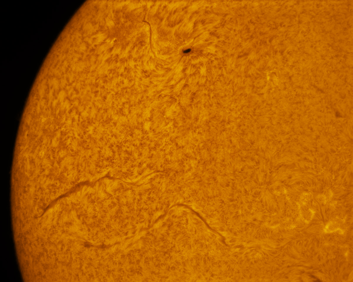 Sunspot 2005 in h-alpha 03/15/2014