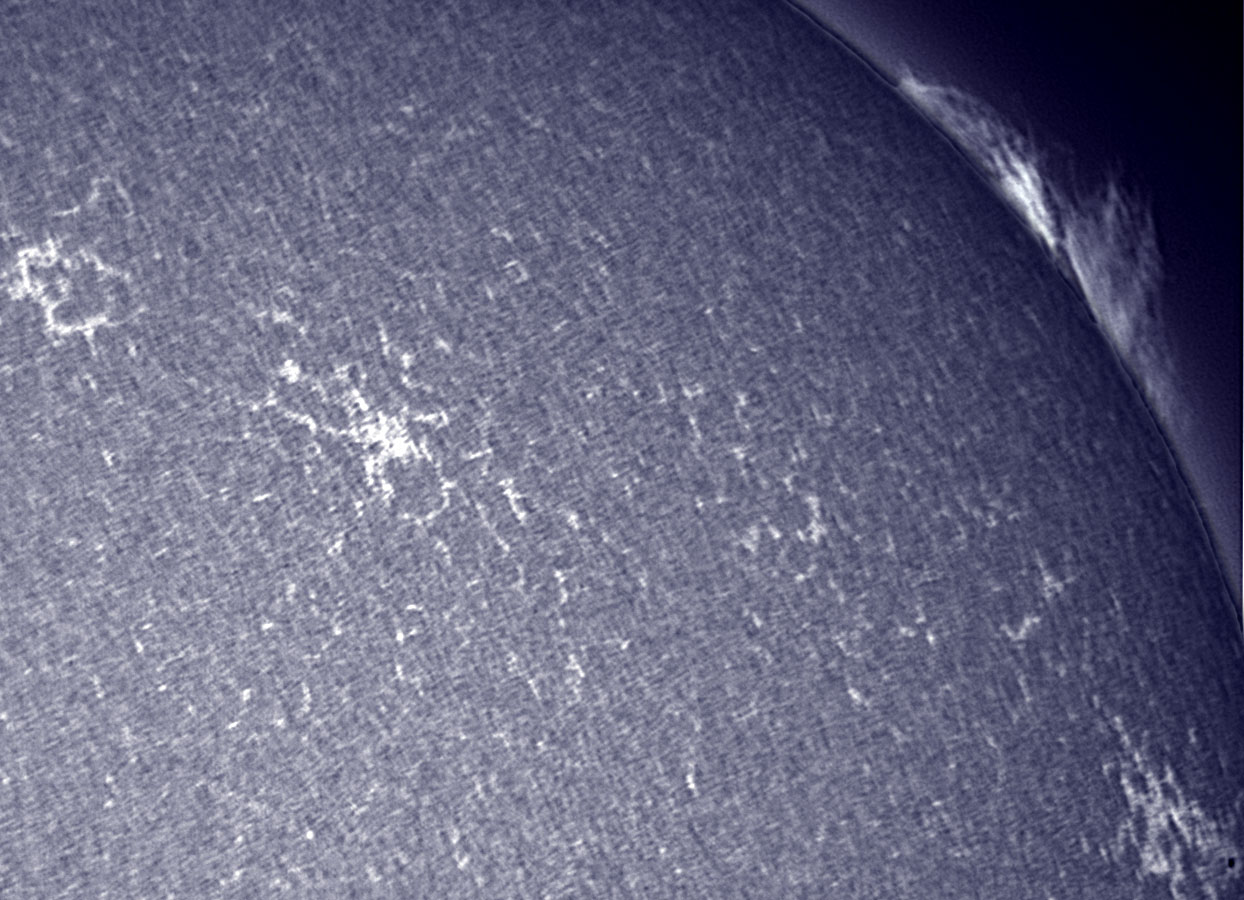 Solar prominence in CaK 3/19/2010
