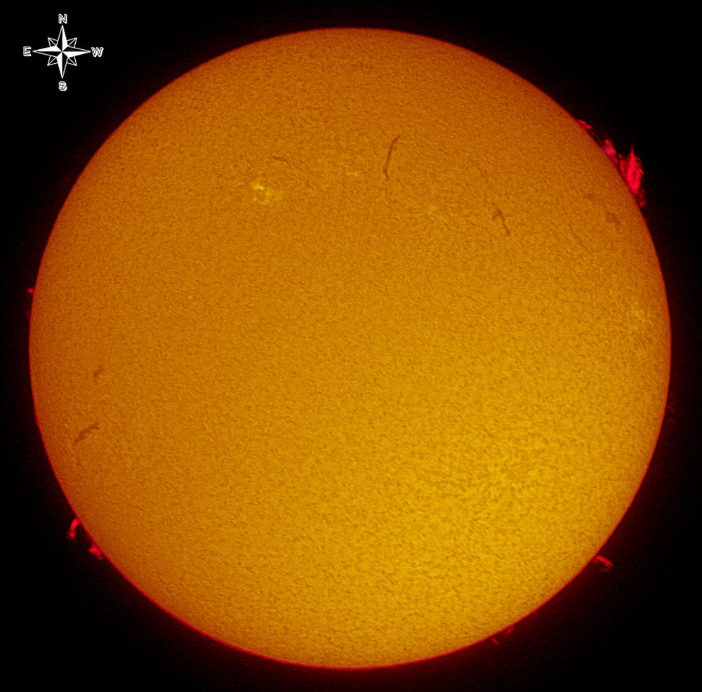 Solar Disk in h-alpha 3/19/10