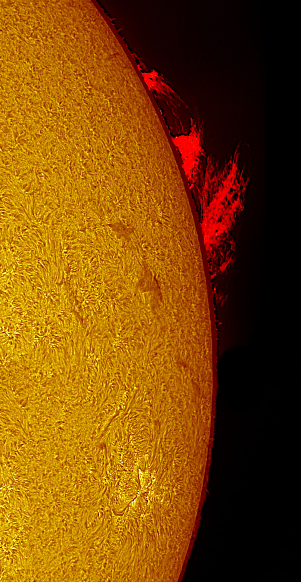 Solar prominence in h-alpha 3/19/2010