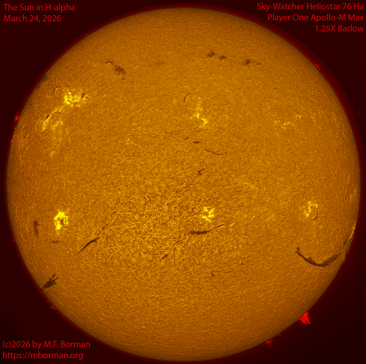 Solar image in h-alpha 03/24/26