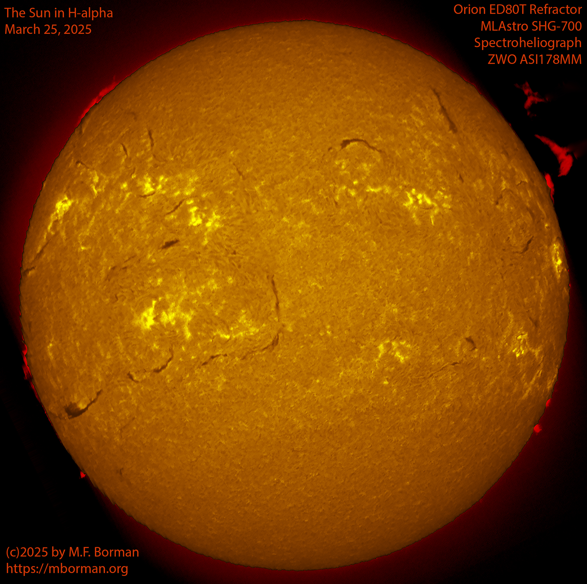 Solar image in h-alpha 03/25/25