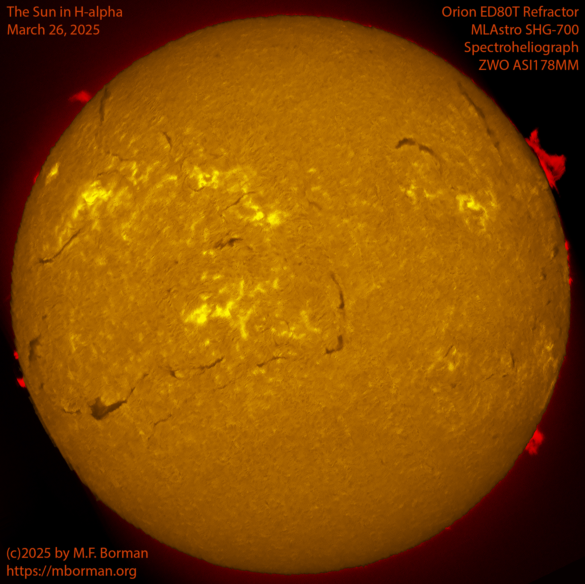 Solar image in h-alpha 03/26/25