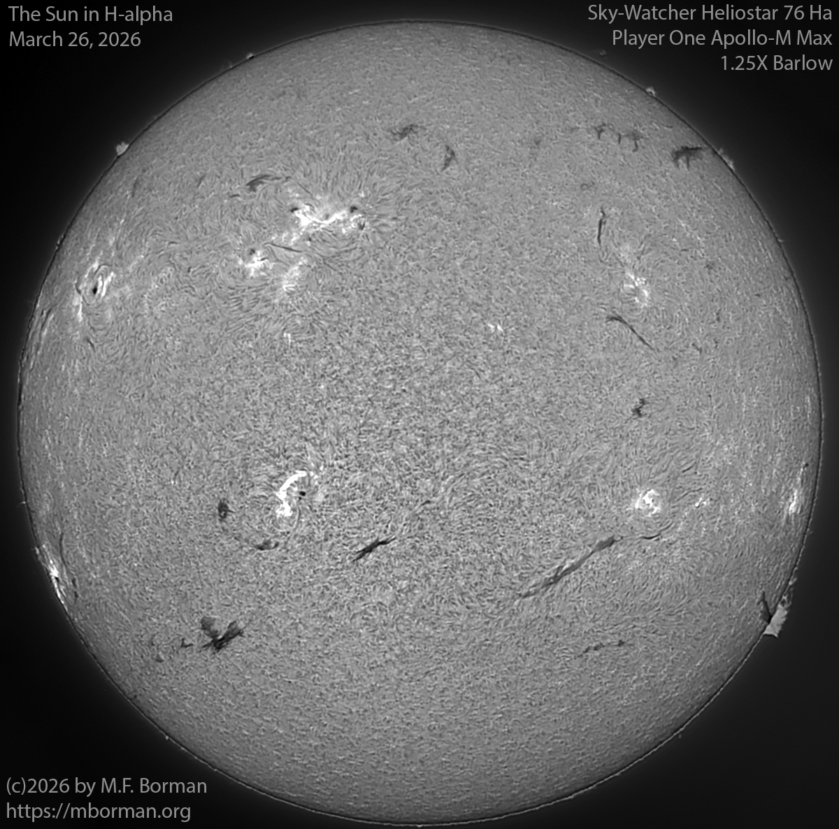 Solar image in h-alpha 03/26/26