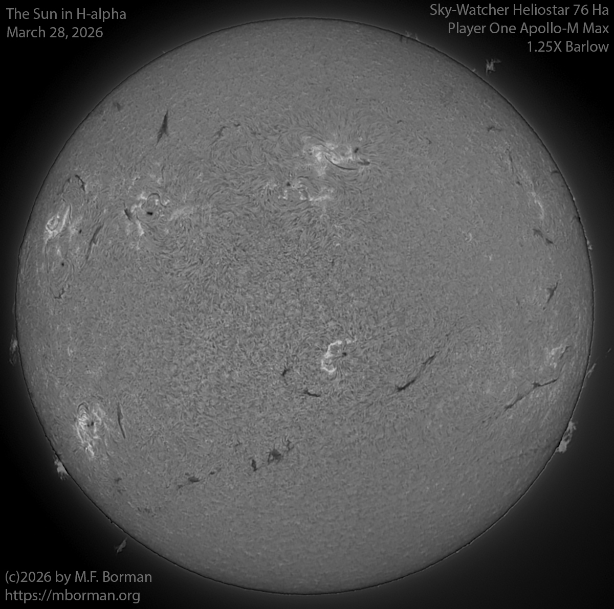 Solar image in h-alpha 03/28/26