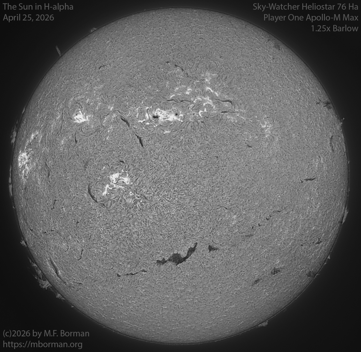 Solar image in h-alpha 04/25/26