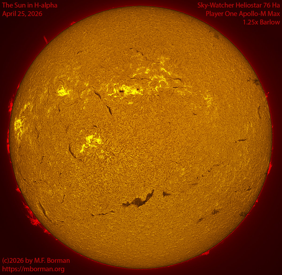 Solar image in h-alpha 04/25/26