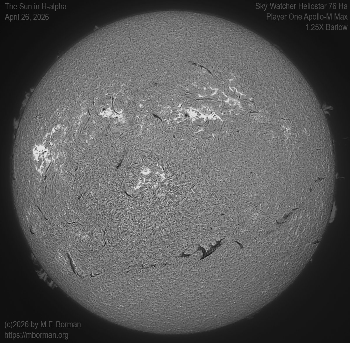 Solar image in h-alpha 04/26/26