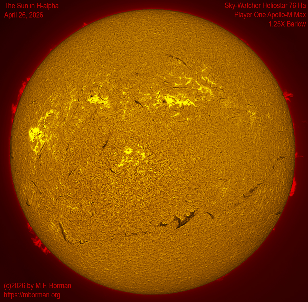 Solar image in h-alpha 04/26/26