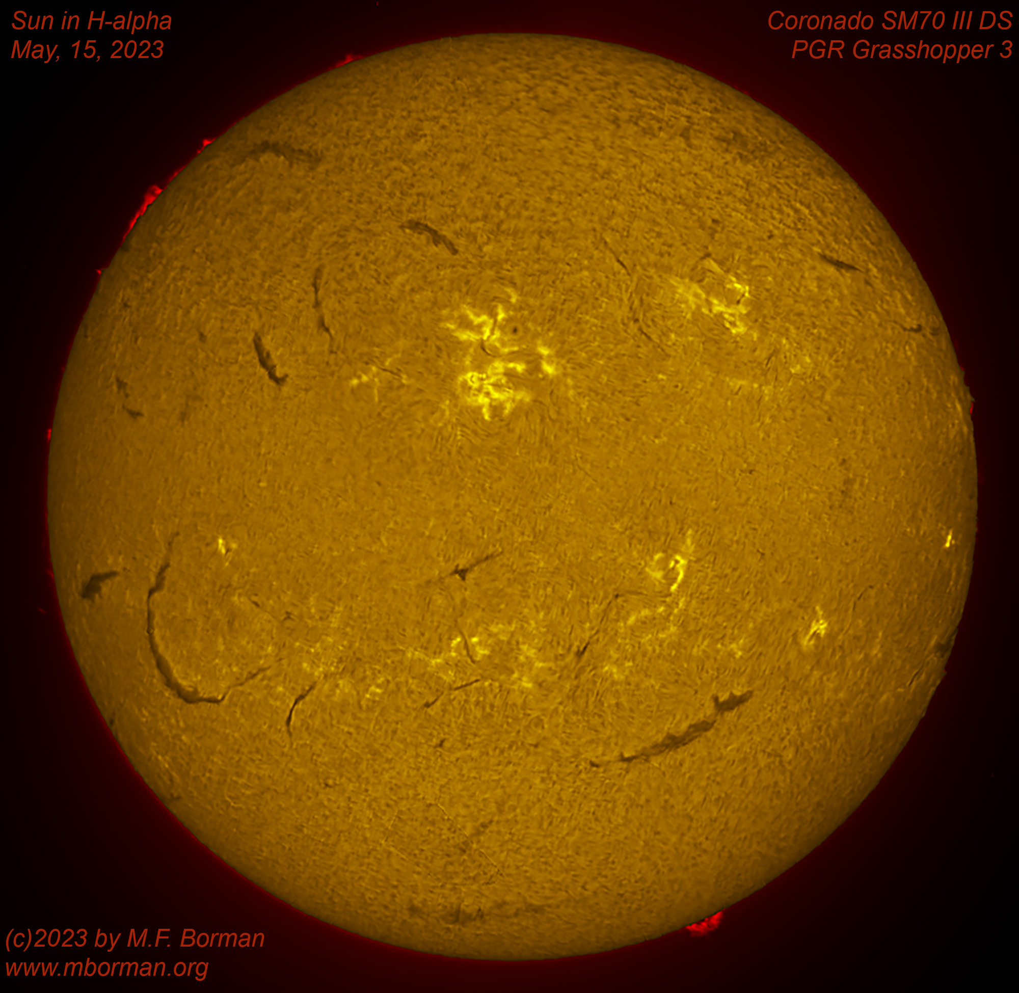 Solar disk in h-alpha 05/15/2023