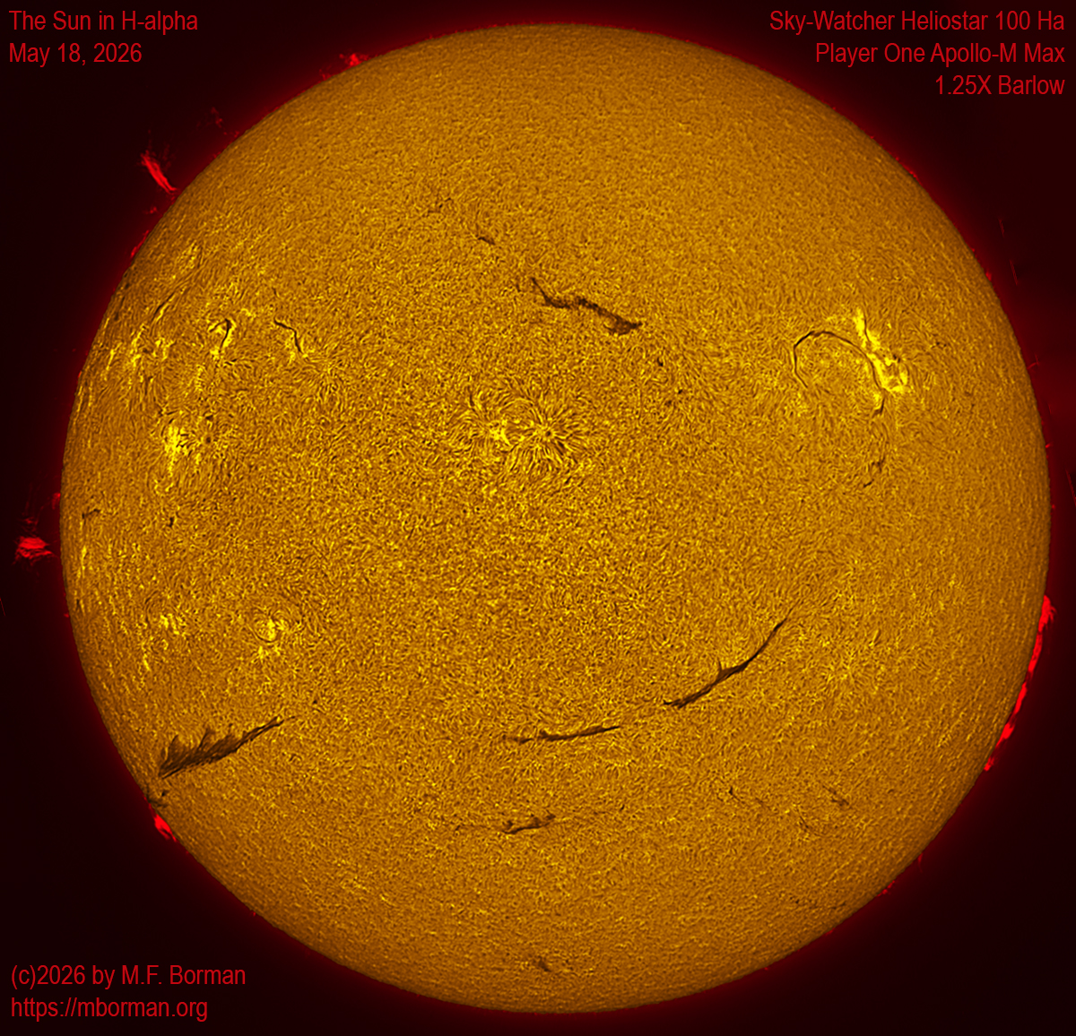 Solar image in h-alpha 05/18/26