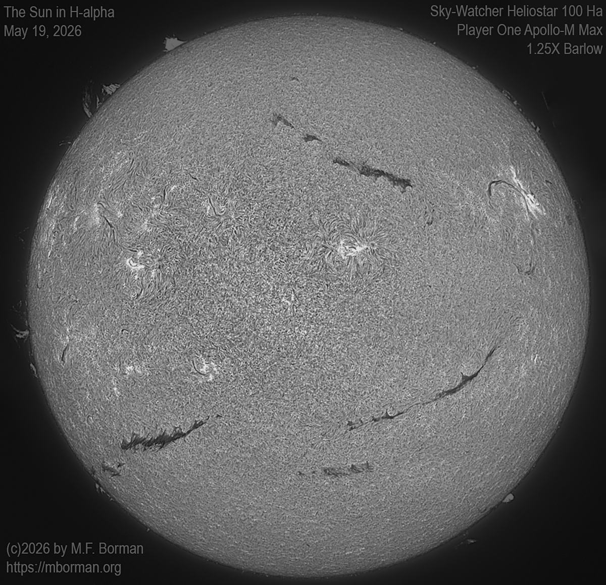 Solar image in h-alpha 05/19/26