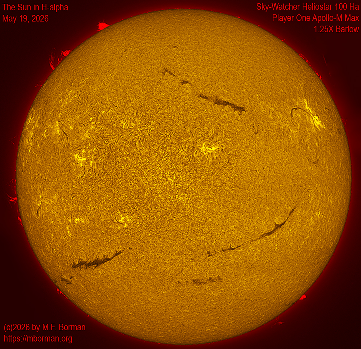 Solar image in h-alpha 05/19/26