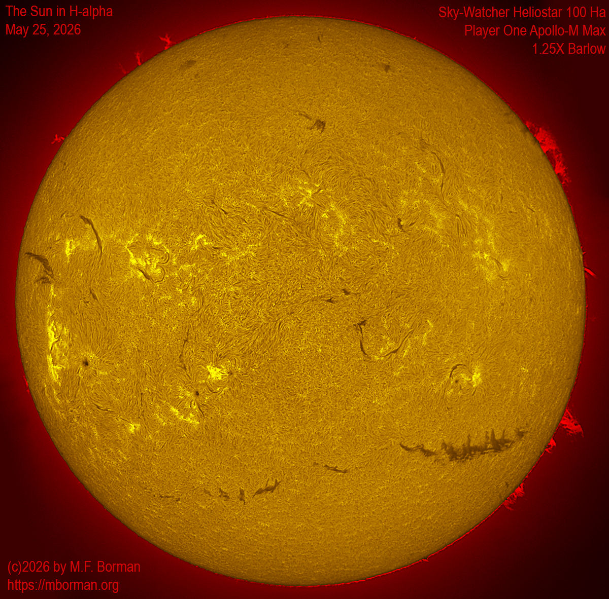 Solar image in h-alpha 05/25/26