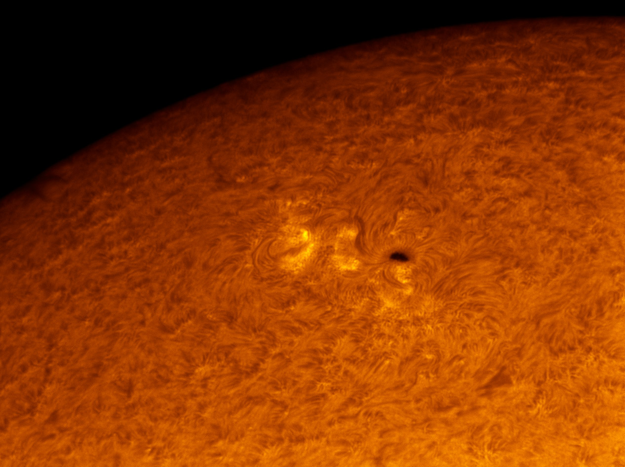 Sunspot 1486 in h-alpha 05/27/2012