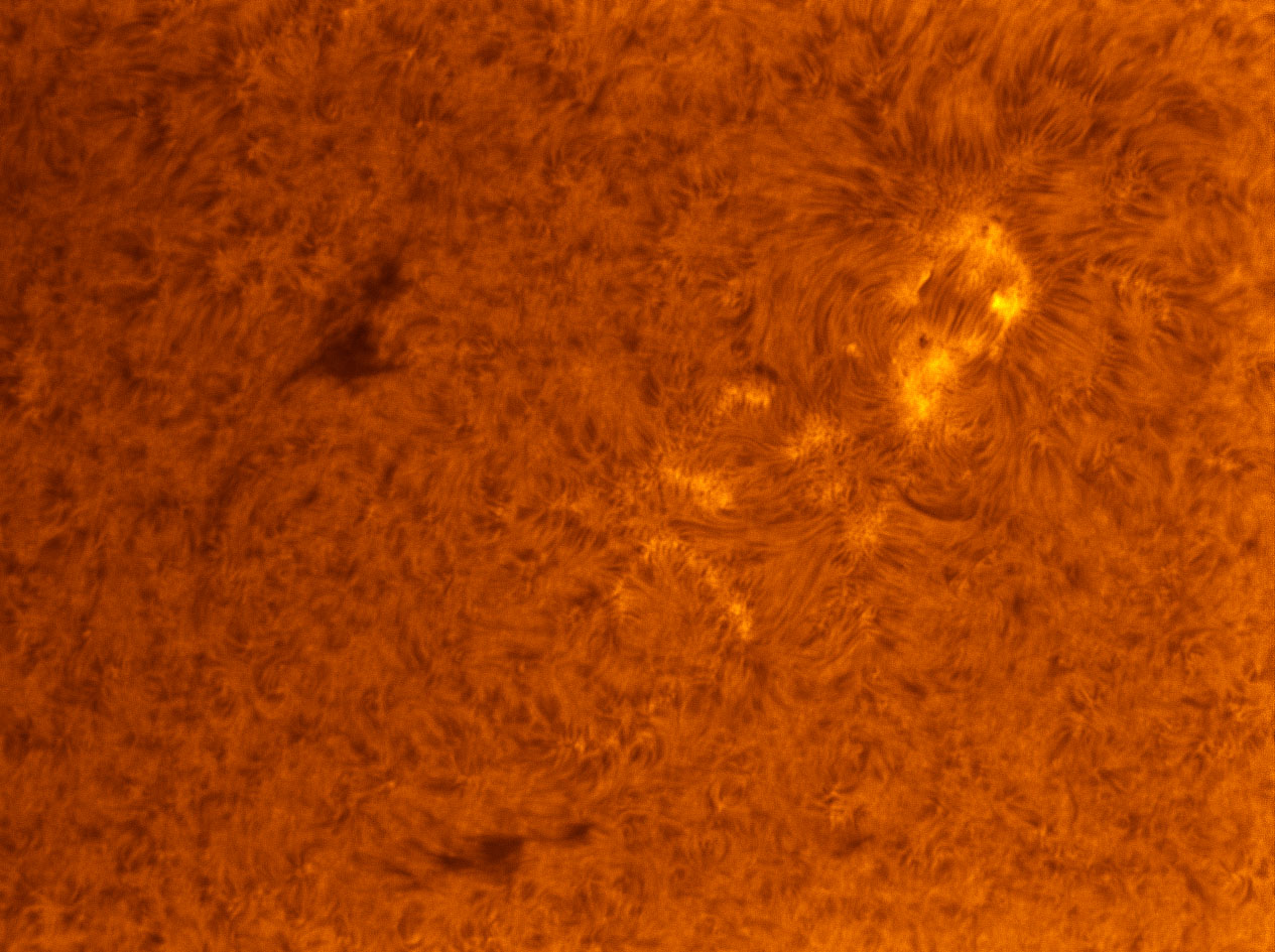 Sunspot 1488 in h-alpha 05/27/2012