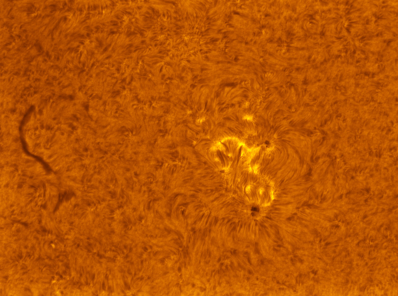Sunspot 1490 in h-alpha 05/27/2012