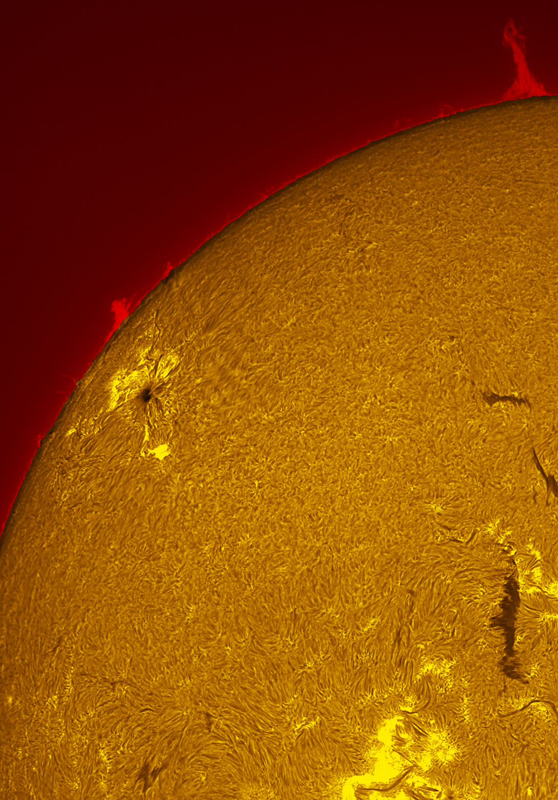 Solar prominence in h-alpha 05/28/26