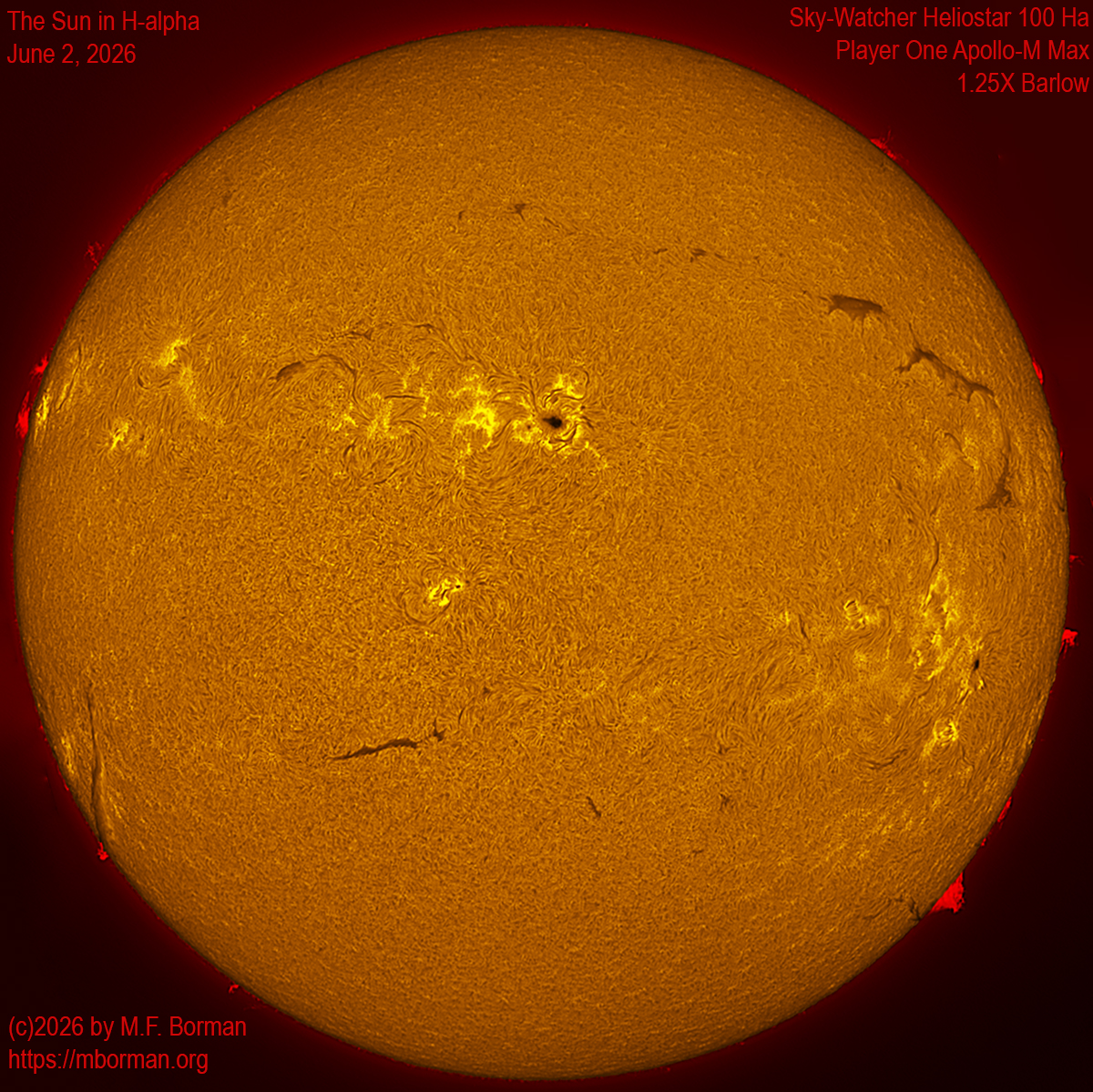 Solar image in h-alpha 06/02/26