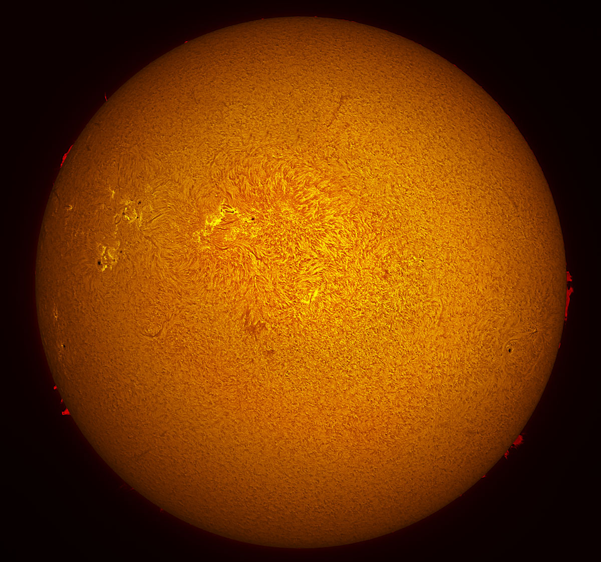 Solar Disk in h-alpha 06/06/2015