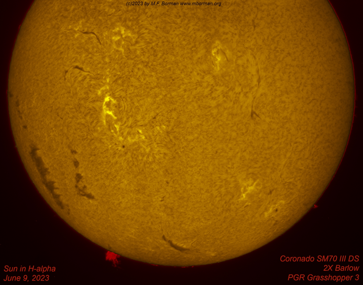 Solar prominence in h-alpha 06/09/2023