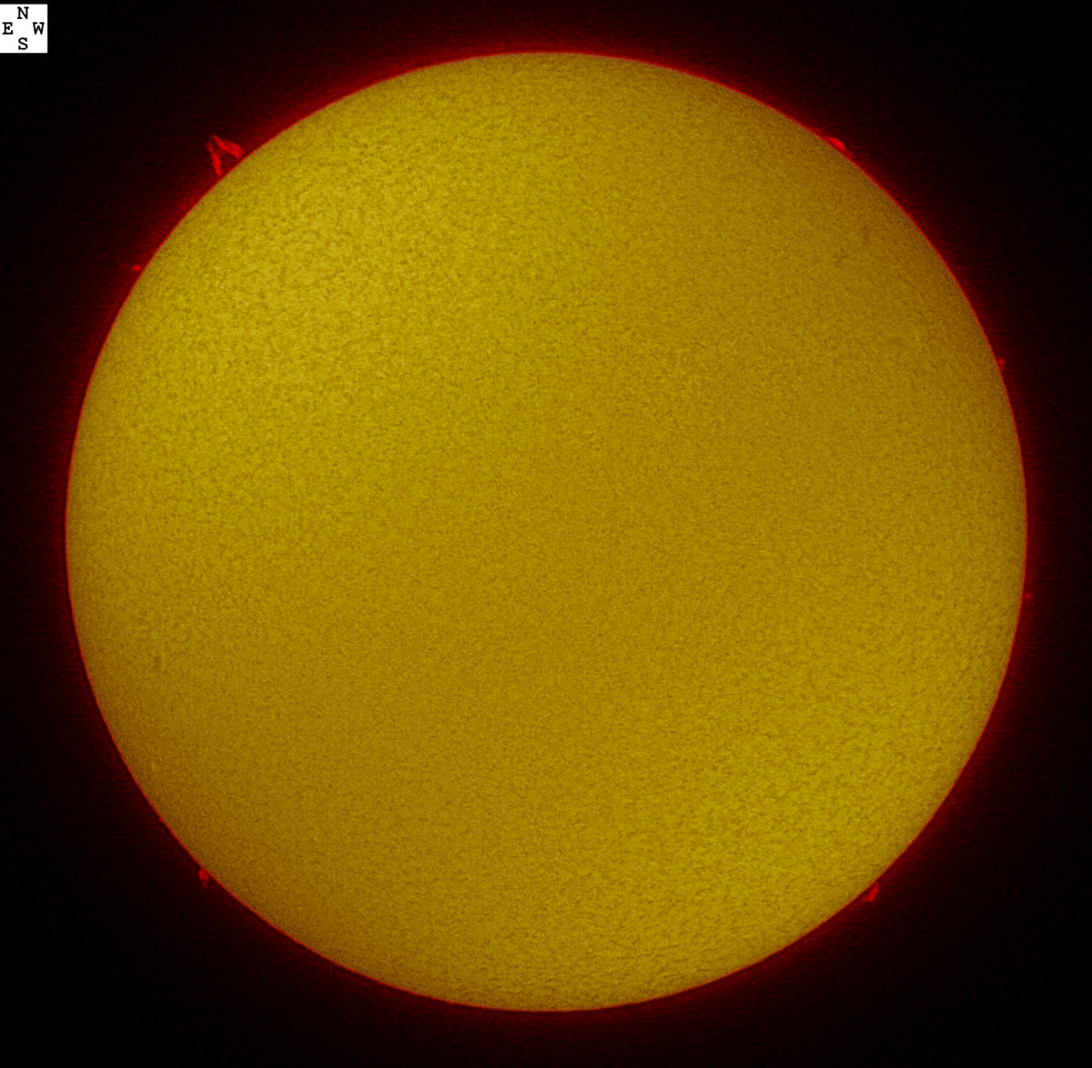 Solar images in h-alpha 06/13/2009