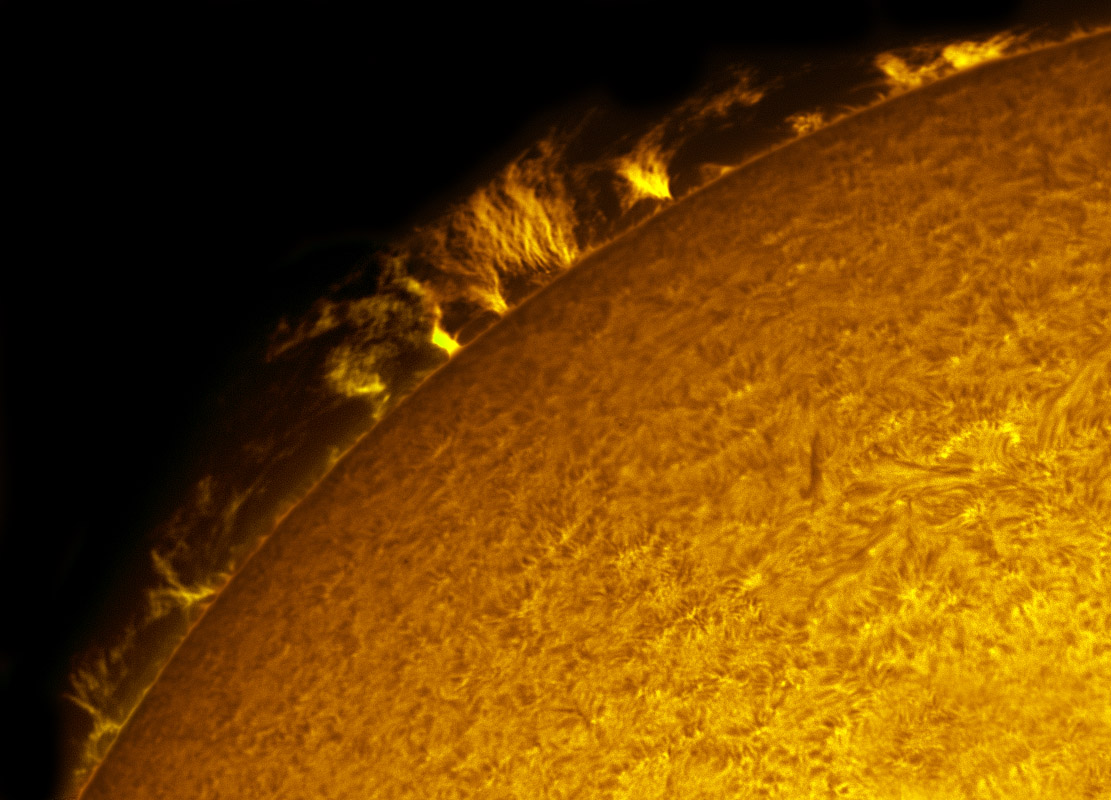 Prominences in h-alpha 06/19/2011