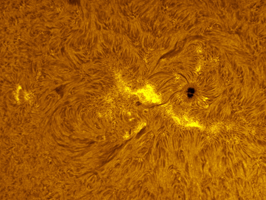 Sunspot 1236 in h-alpha 6/19/2011