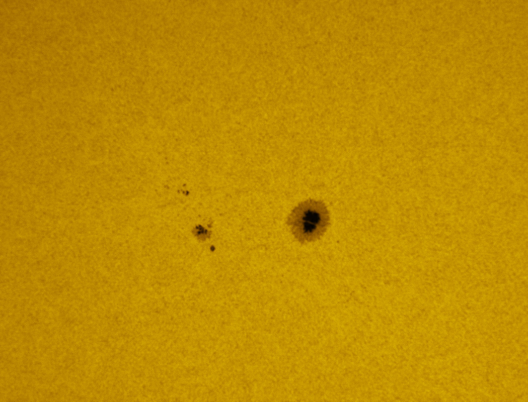 Sunspot 1236 in white light 06/19/2011