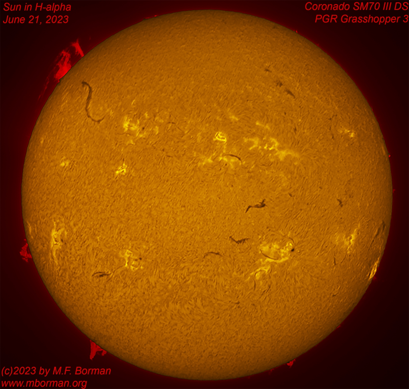 Solar disk in h-alpha 06/21/2023