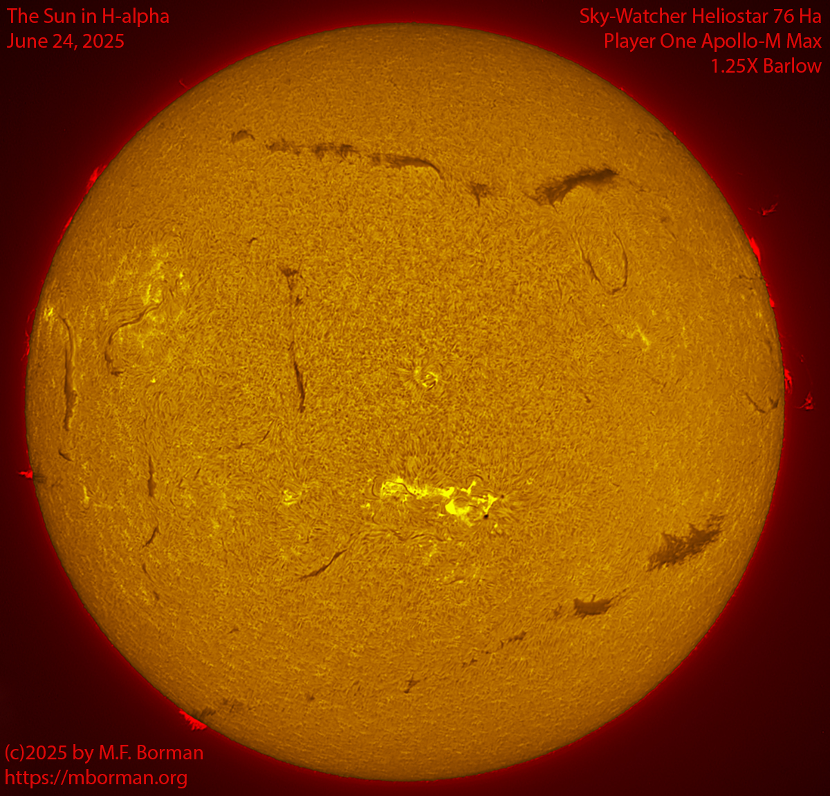 Solar image in h-alpha 06/24/25