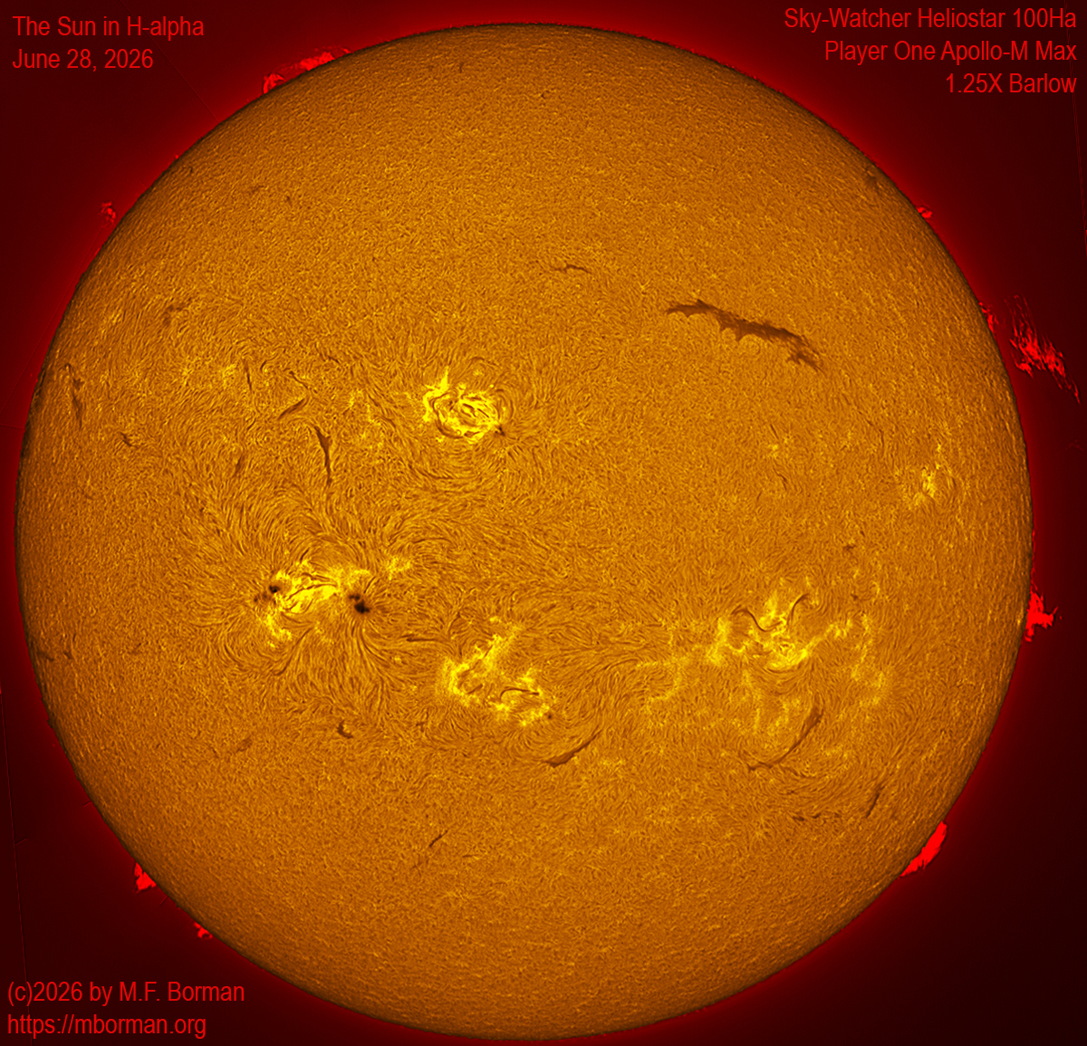 Solar image in h-alpha 06/28/26