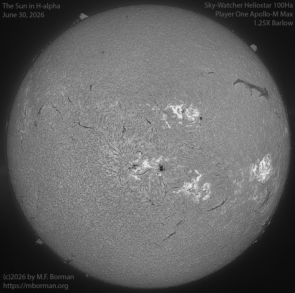 Solar image in h-alpha 06/30/26