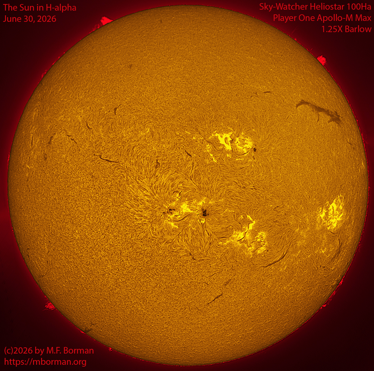 Solar image in h-alpha 06/30/26