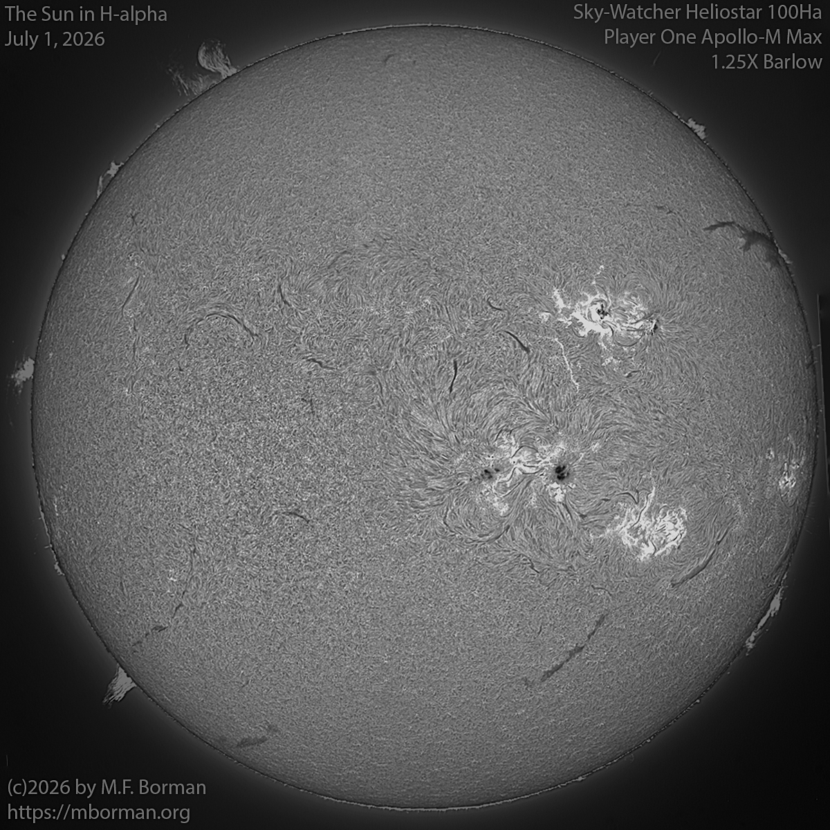 Solar image in h-alpha 07/01/26