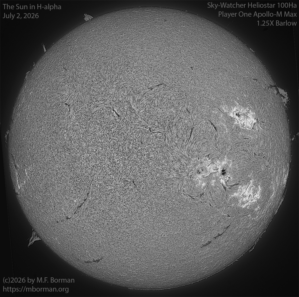 Solar image in h-alpha 07/02/26