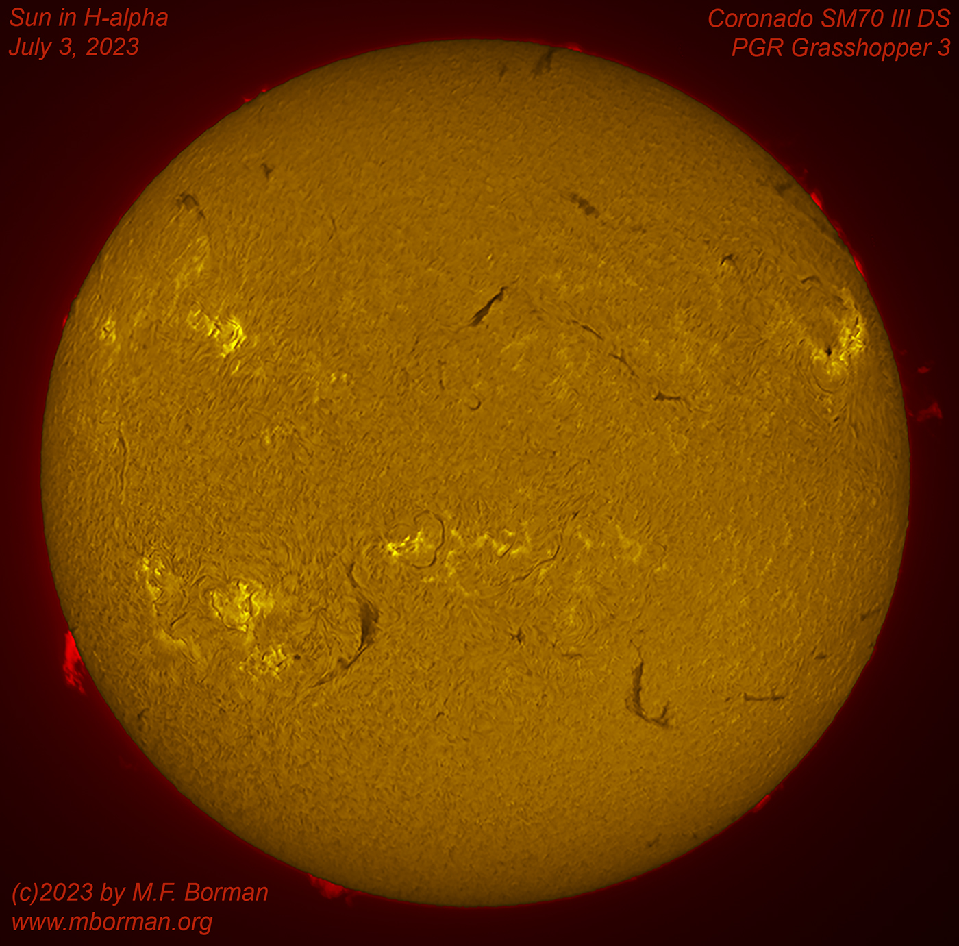 Solar disk in h-alpha 07/03/2023