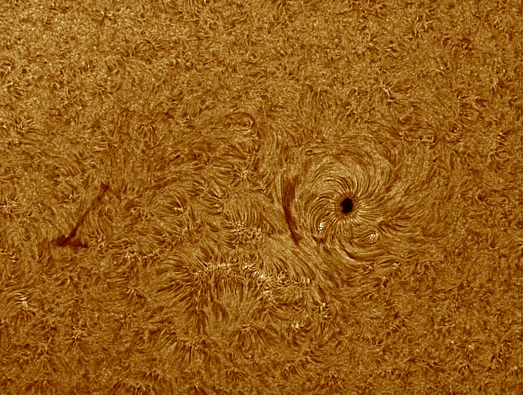 Sunspot 1084 in h-alpha 7/03/2010