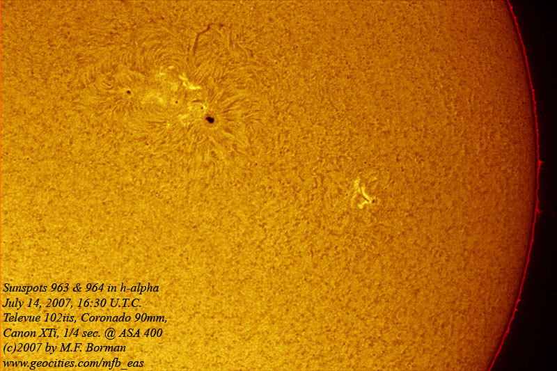 Sun in h-alpha 07/14/2007
