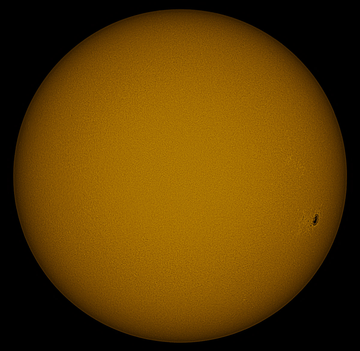 Solar disk in white light 07/15/2017